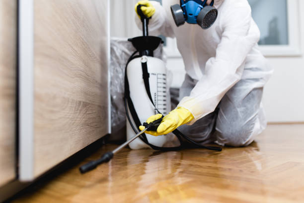 Best Exterminator Services  in Salem, MA