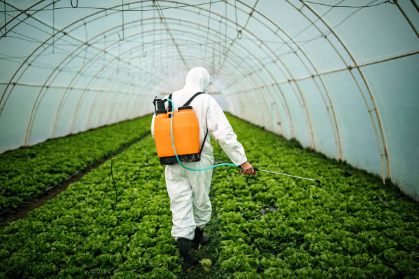 Best Residential Pest Control  in Salem, MA
