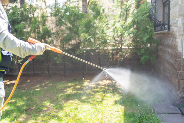 Reliable Salem, MA Pest Control Solutions